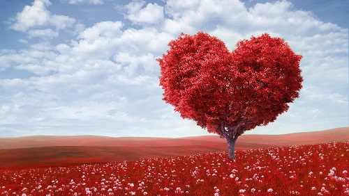love-flowers-heart-wallpapers.jpg
